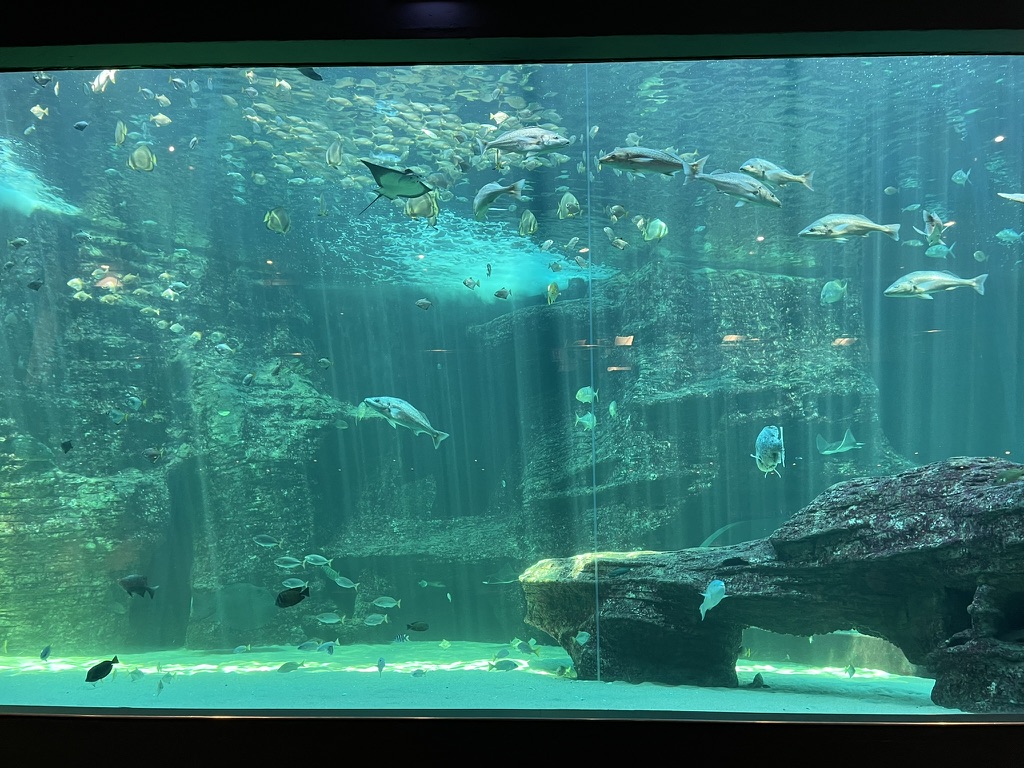 Capetown, South Africa